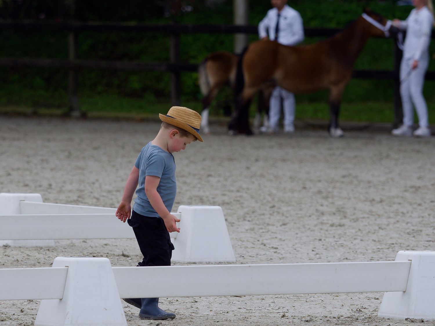 White fenced arena with handlers presenting horses during a judging event.