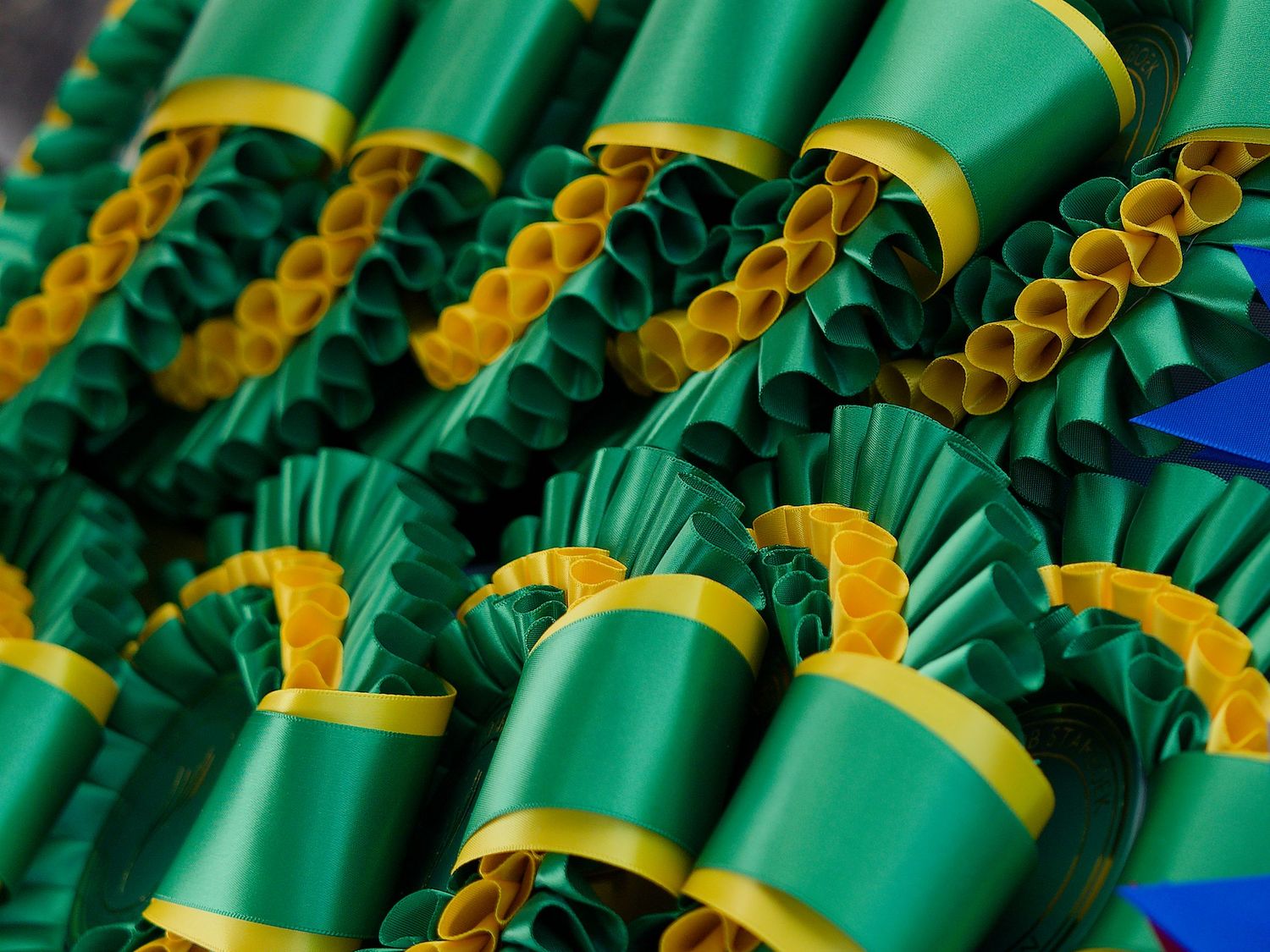Row of green and yellow rosette ribbons displayed at an equestrian competition.