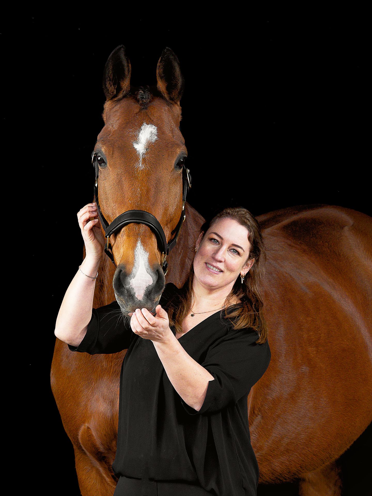 A series of four connected photos showing a bay horse with white markings against a black background.