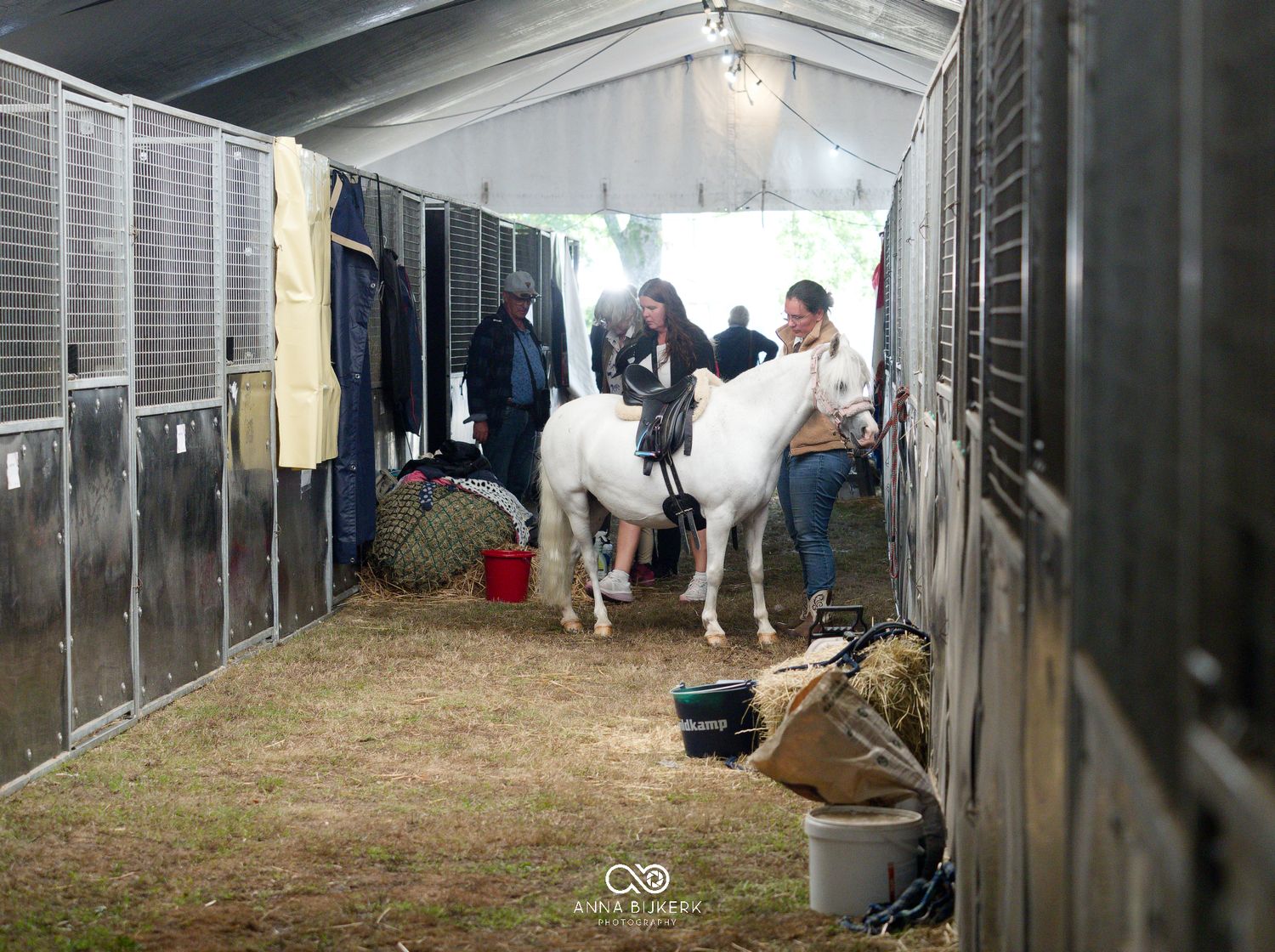 People grooming a white horse inside a temporary stable tent with stalls at an equestrian event.