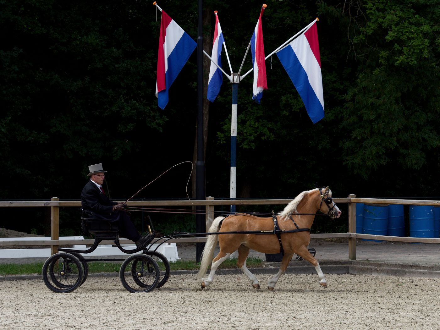 Show arena with national flags and banners displayed above the performance area.
