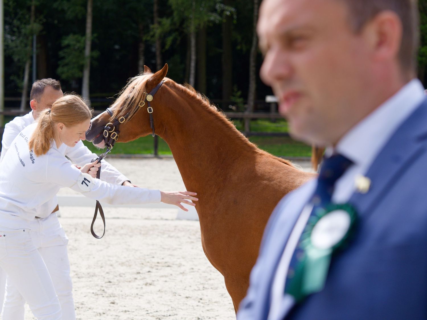 Horse handlers in formal attire present their horses in an outdoor arena setting.