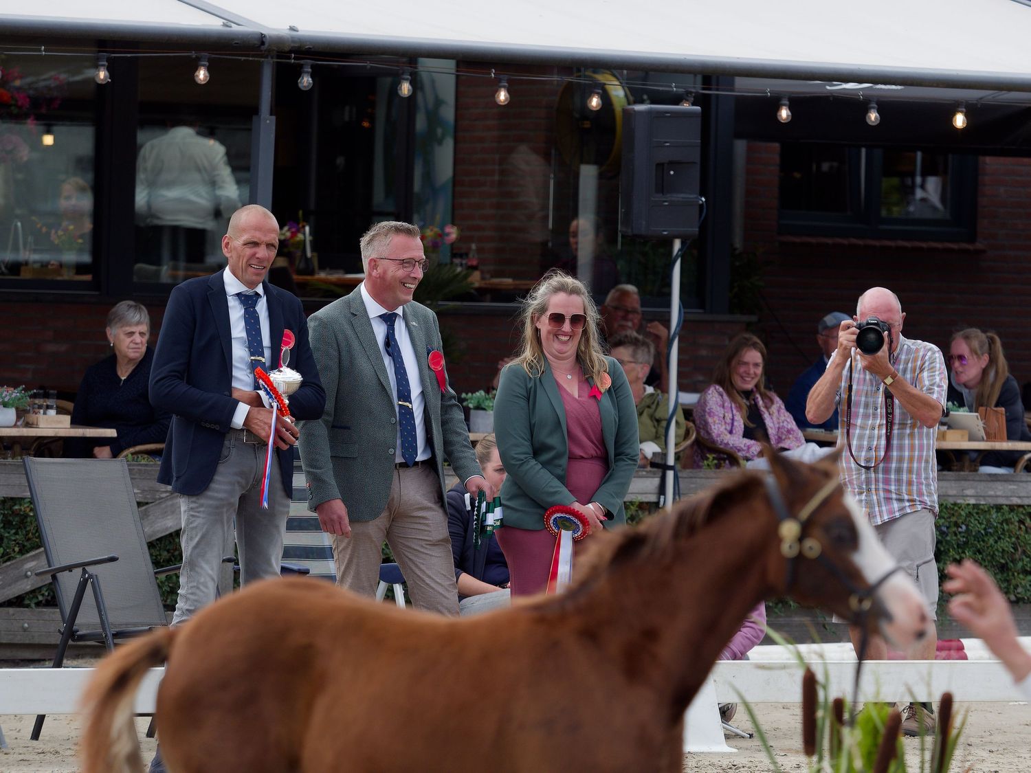 Spectators watch horses being presented in an outdoor arena during an equestrian event.