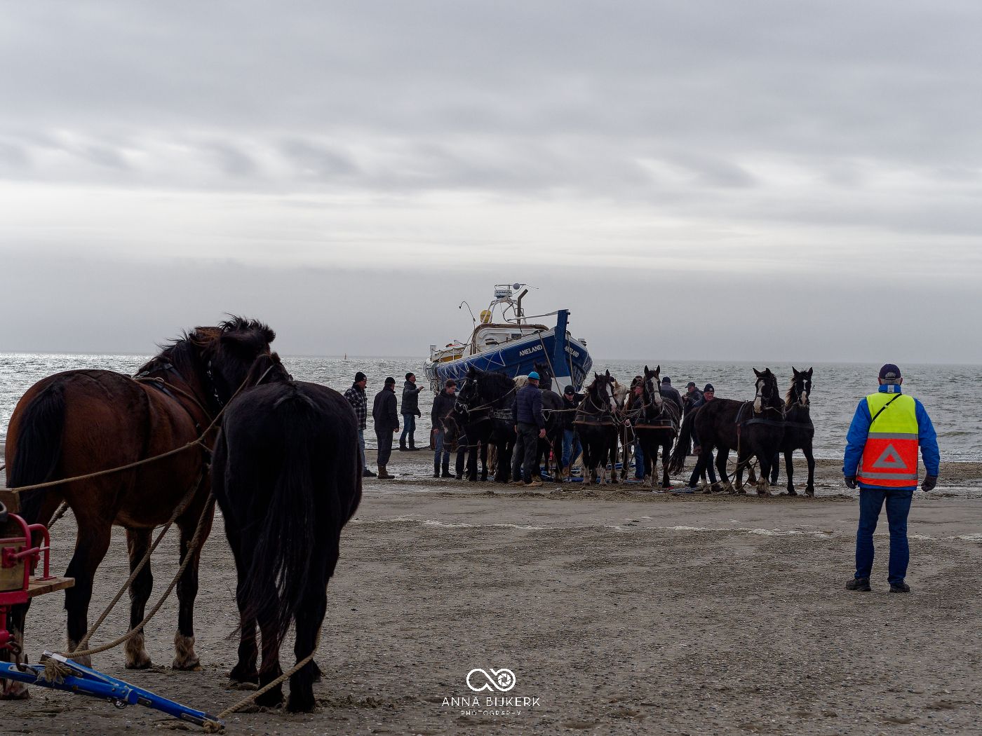 A crowd of people gathered on a misty beach with a boat visible in the distance on a cloudy day.