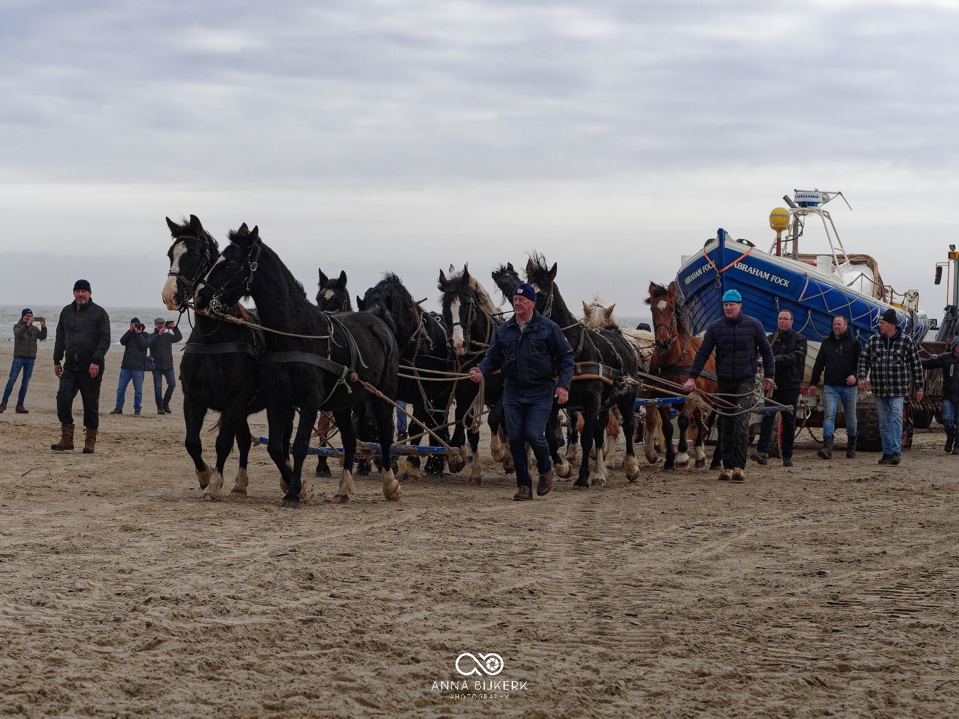 A group of horses and spectators gather on a misty beach during what appears to be an equestrian event.