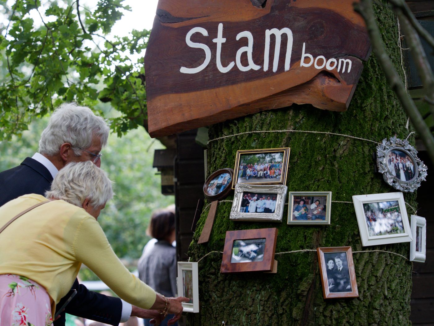 Elderly couple viewing family photos on a decorated tree trunk with a Stamboom sign at an outdoor event.
