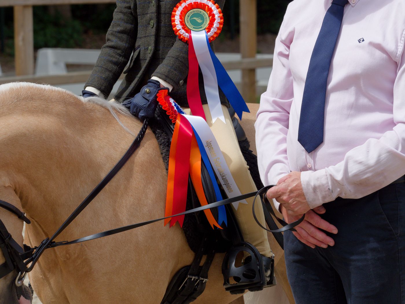 Handlers present horses wearing red, white and blue ribbons at an equestrian show competition.