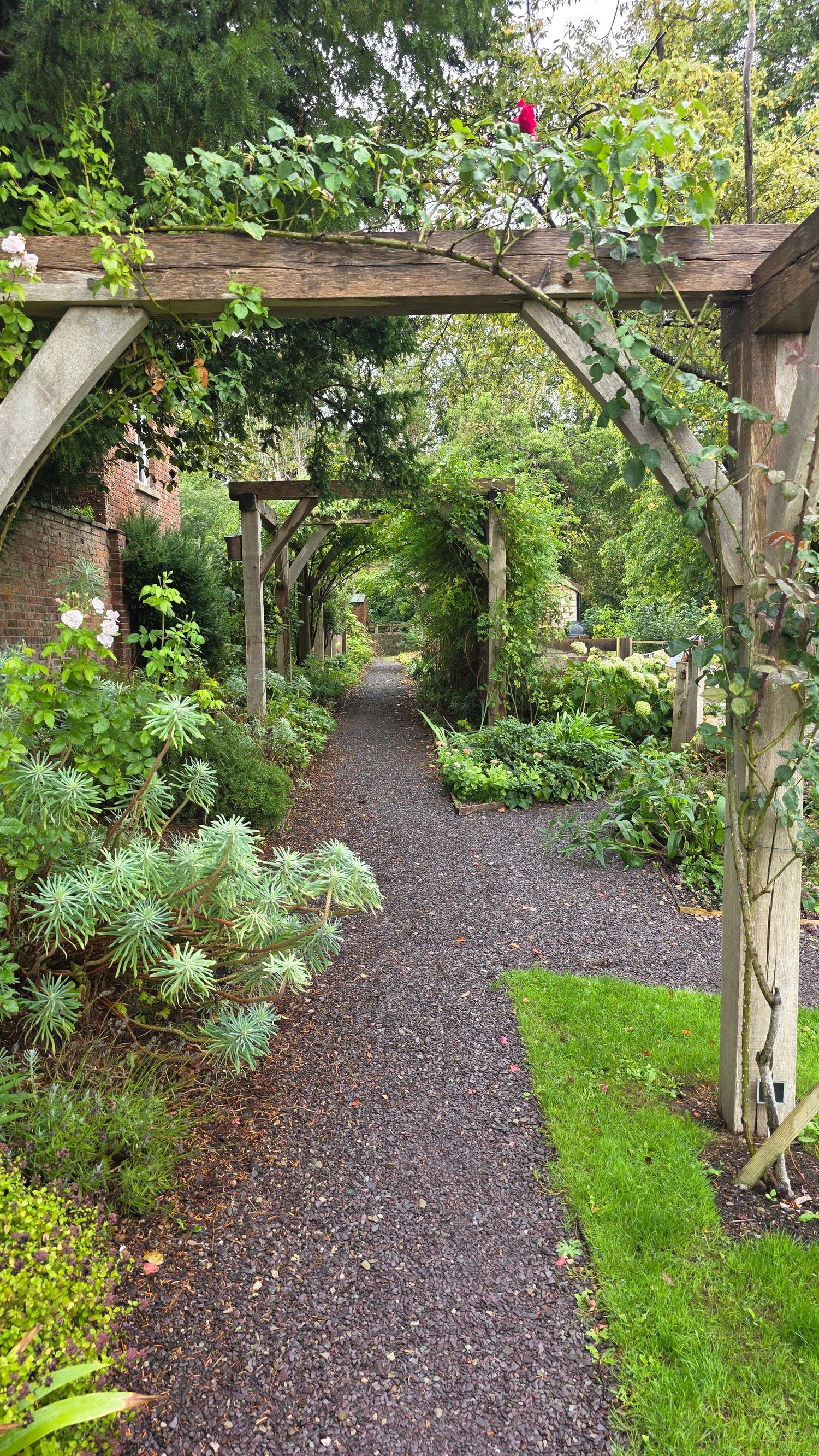 Lush garden pathway with wooden pergola arches covered in climbing plants, bordered by green shrubs and gravel walkway.