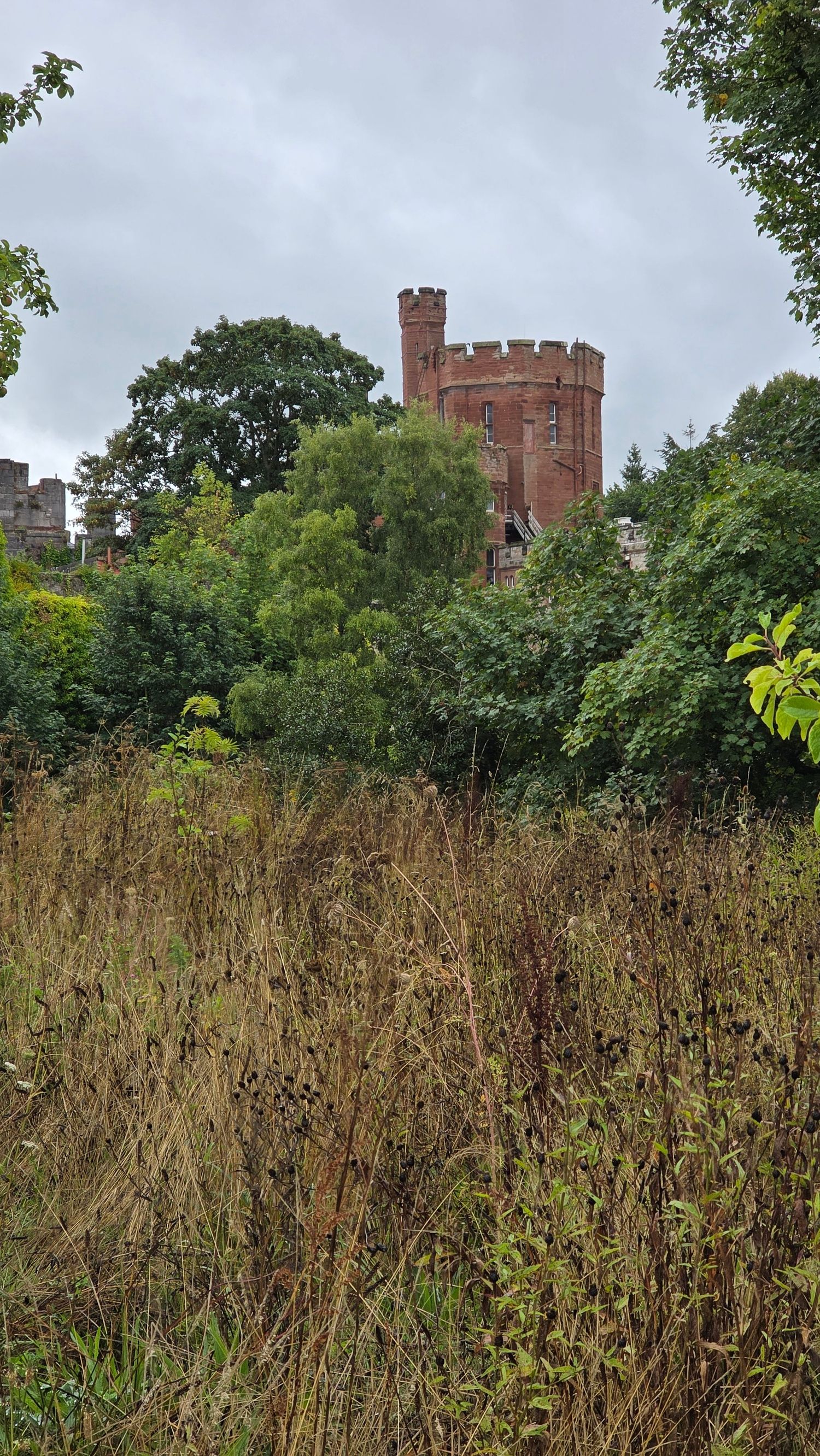 A red brick castle tower rises above lush green trees and wild grass under a cloudy sky.