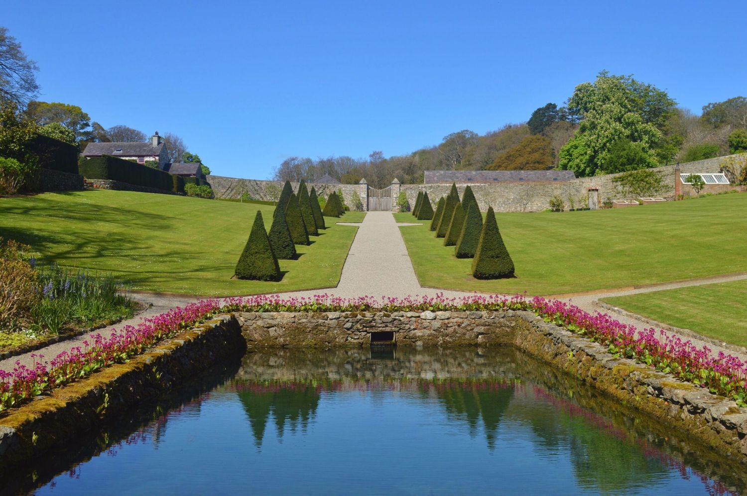 Formal garden with a reflecting pool, pink flower borders, clipped conical yews and a gravel path leading to a stone wall on a sunny day.