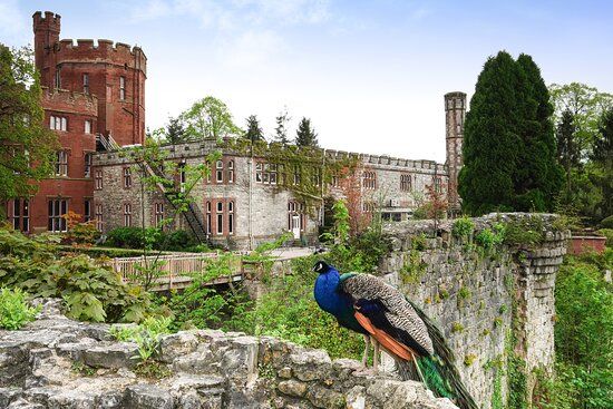 North Wales castle wedding photography at Ruthin Castle