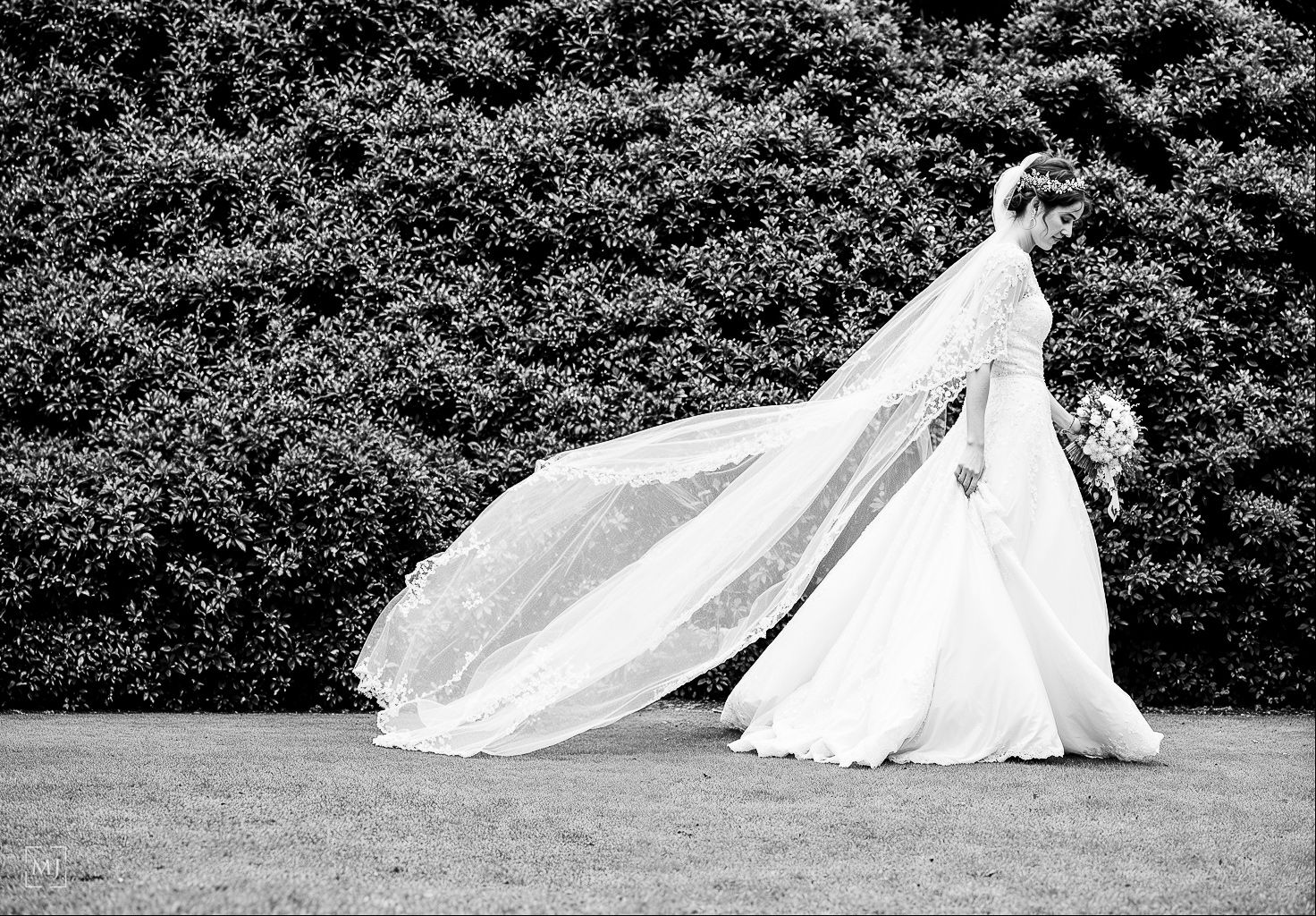 Bride in flowing white wedding gown with long veil billowing in wind, standing on grass before lush hedge Martin Japheth Photography.