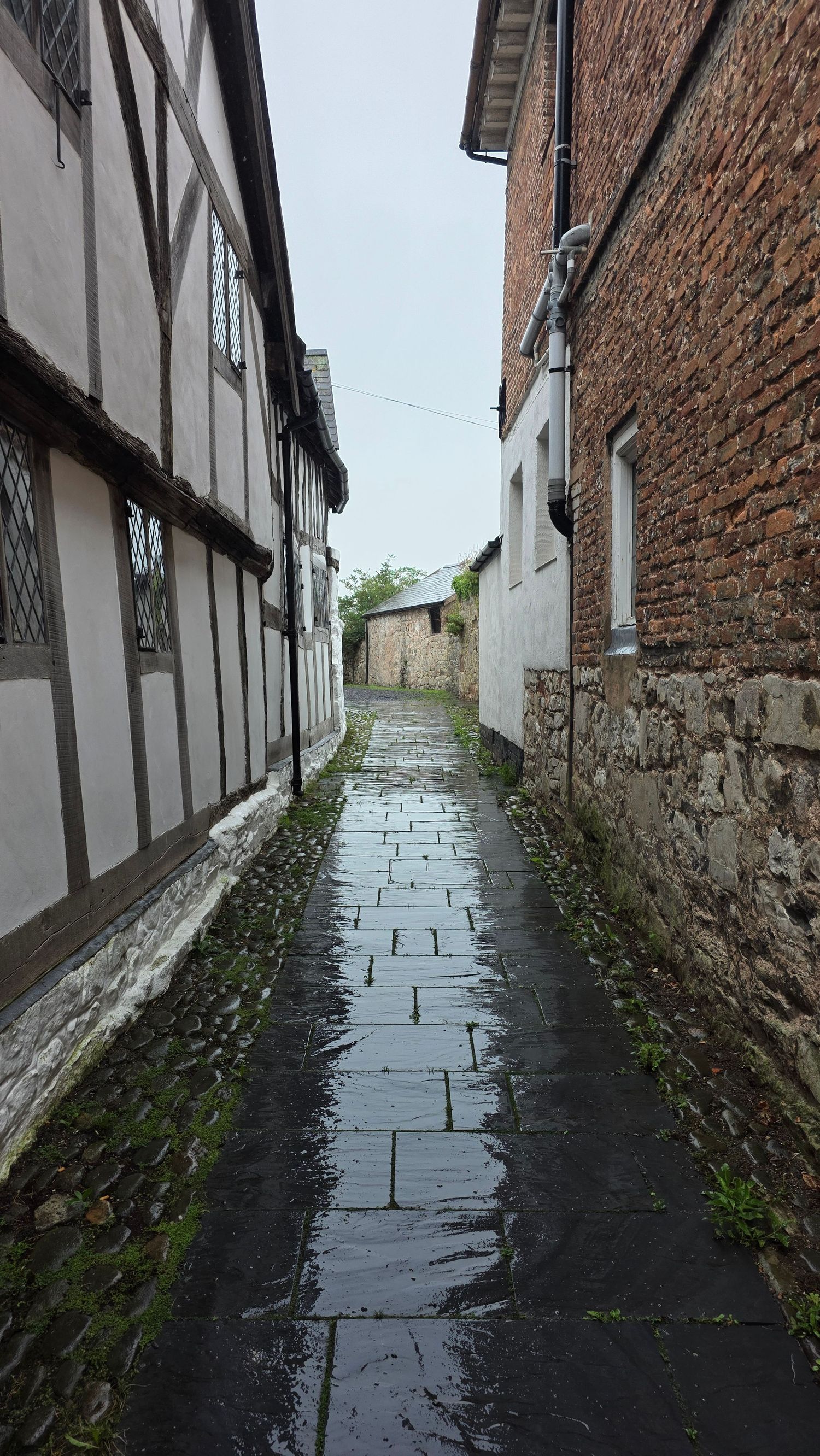 Narrow wet cobblestone alley between historic Tudor timber-framed and brick buildings on a rainy day.