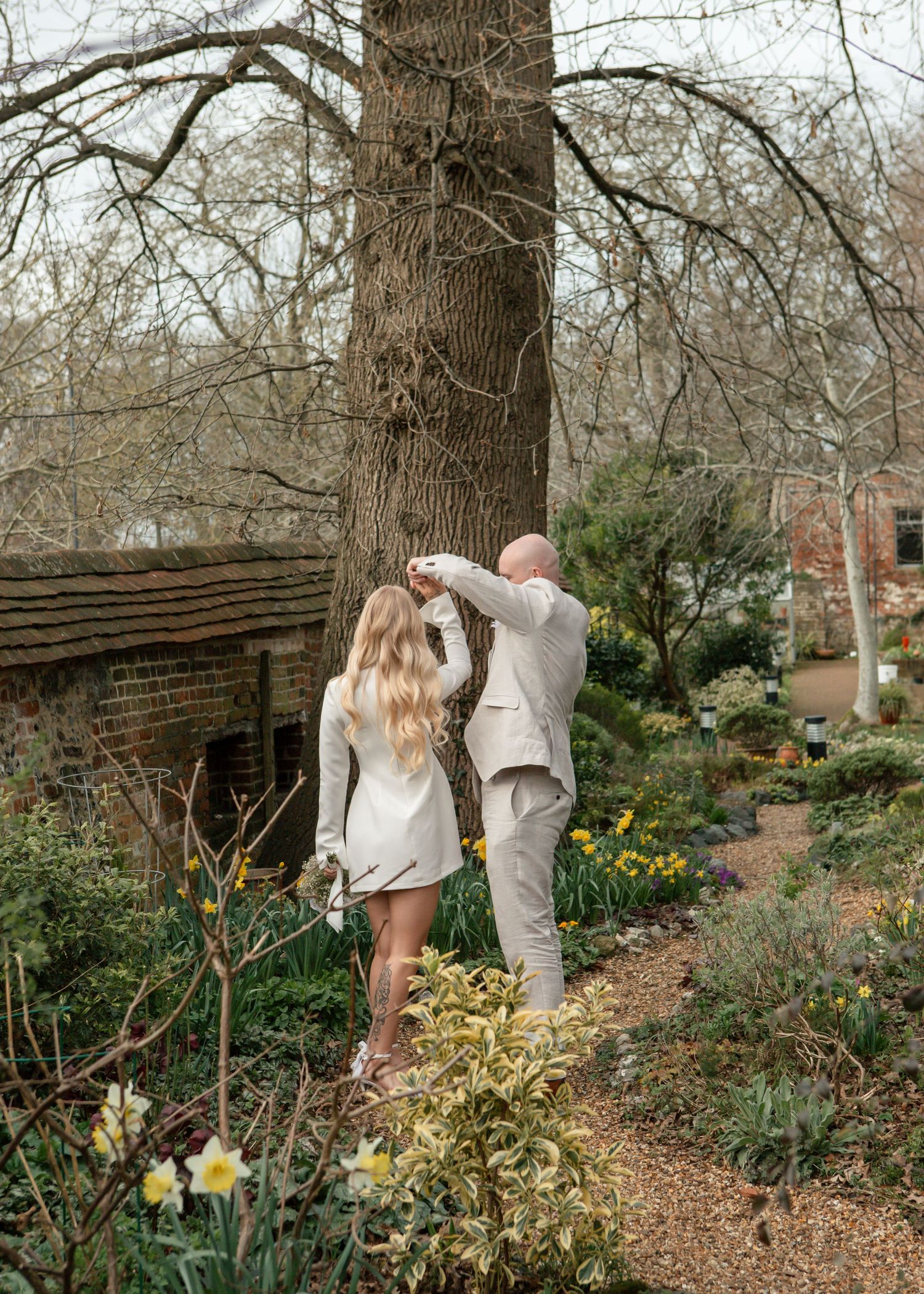 Couple strolls through garden path with blooming daffodils and bare winter trees.