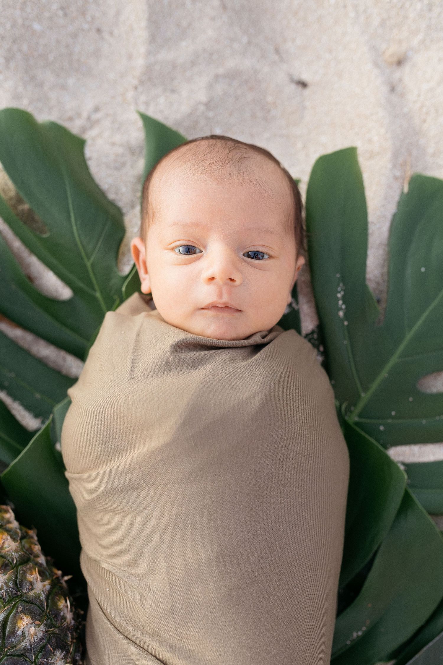 A baby wrapped in tan swaddle lies on tropical leaves against white sand background.