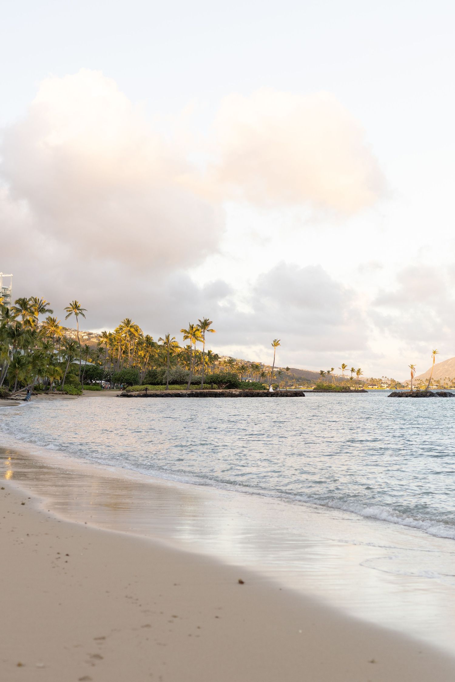 Tranquil beach landscape with palm trees and mountains along the Hawaiian coastline.