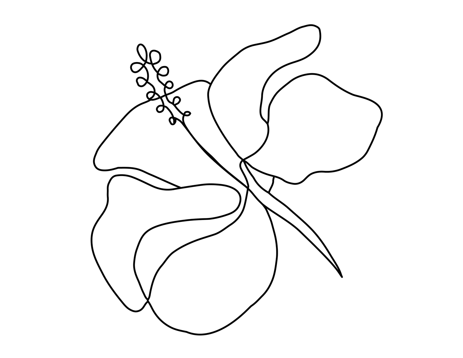 Minimalist black line drawing of a split-leaf philodendron monstera plant.