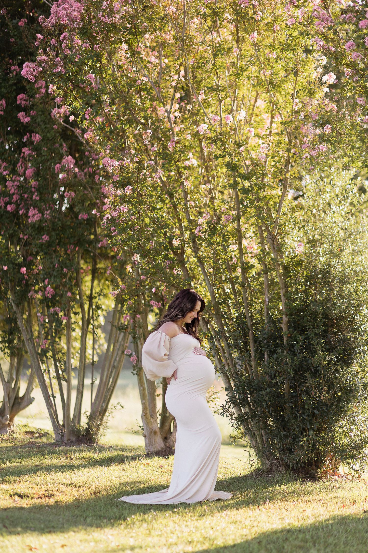 A serene maternity photo under blooming cherry trees with soft natural lighting.