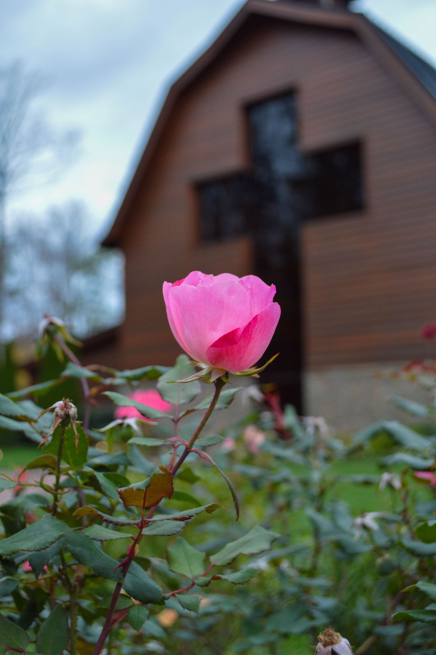 Billy Graham Library
