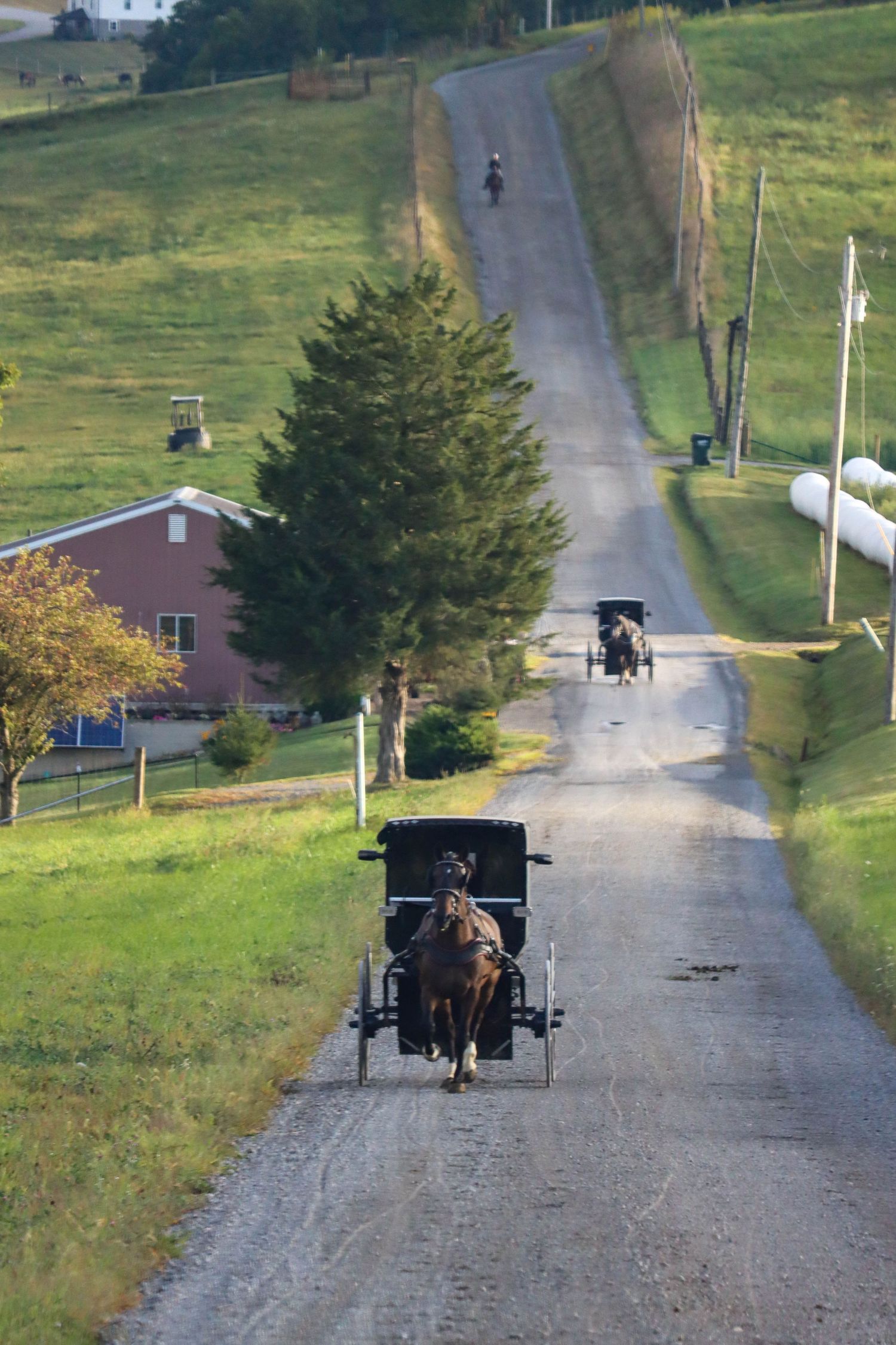 Amish travelers