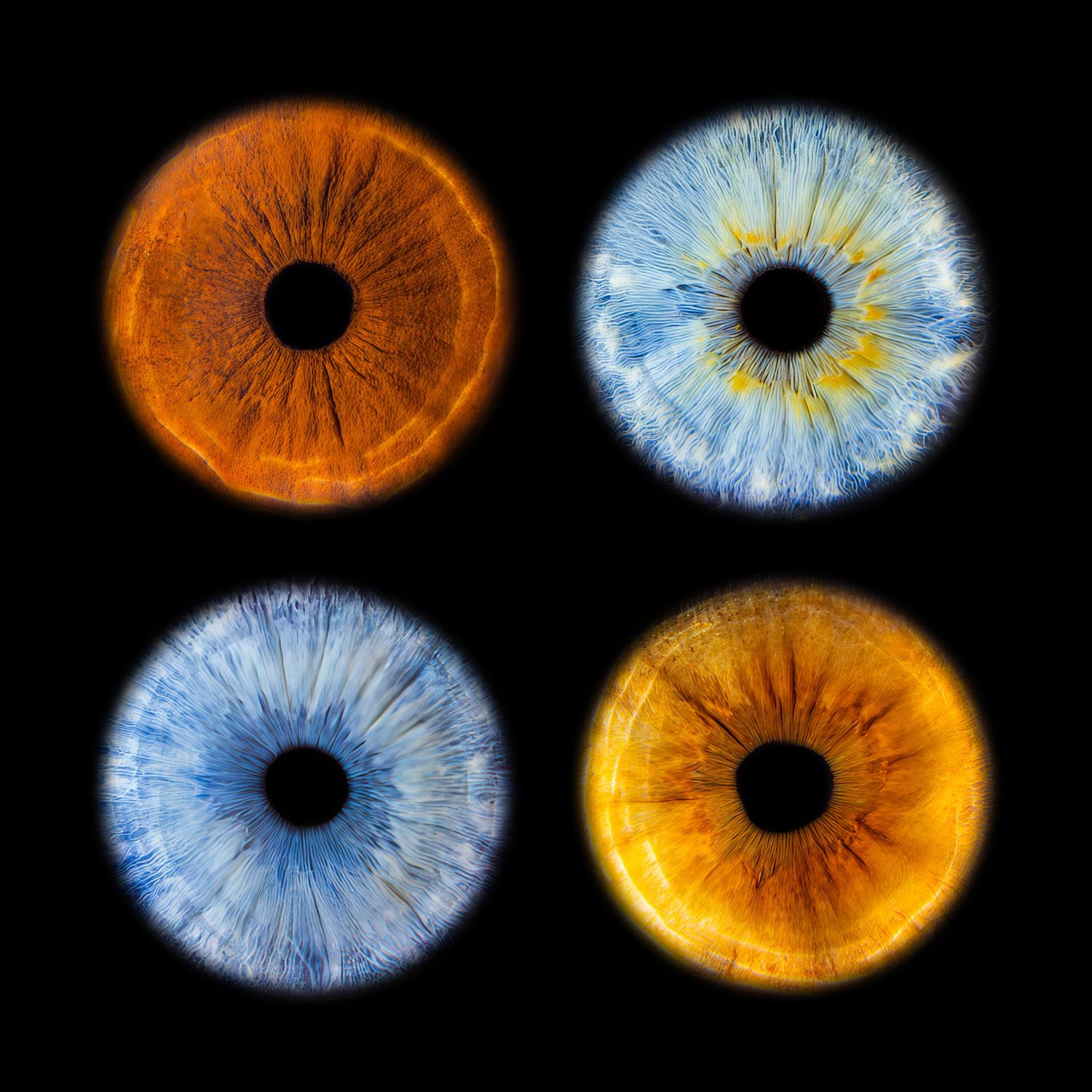 Four macro close-up eye irises in orange and blue tones on black background, showcasing intricate pupil and iris detail.