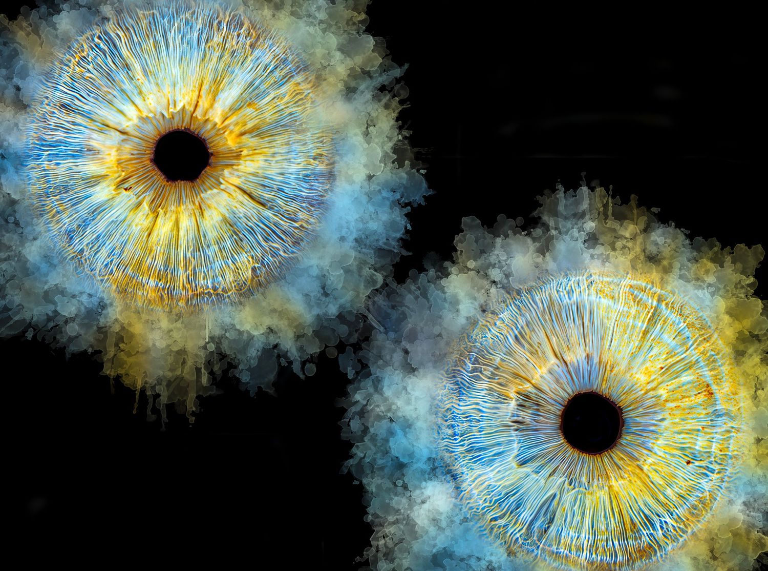 Two vibrant abstract iris eyes with blue and gold bursts on black background, digital art.