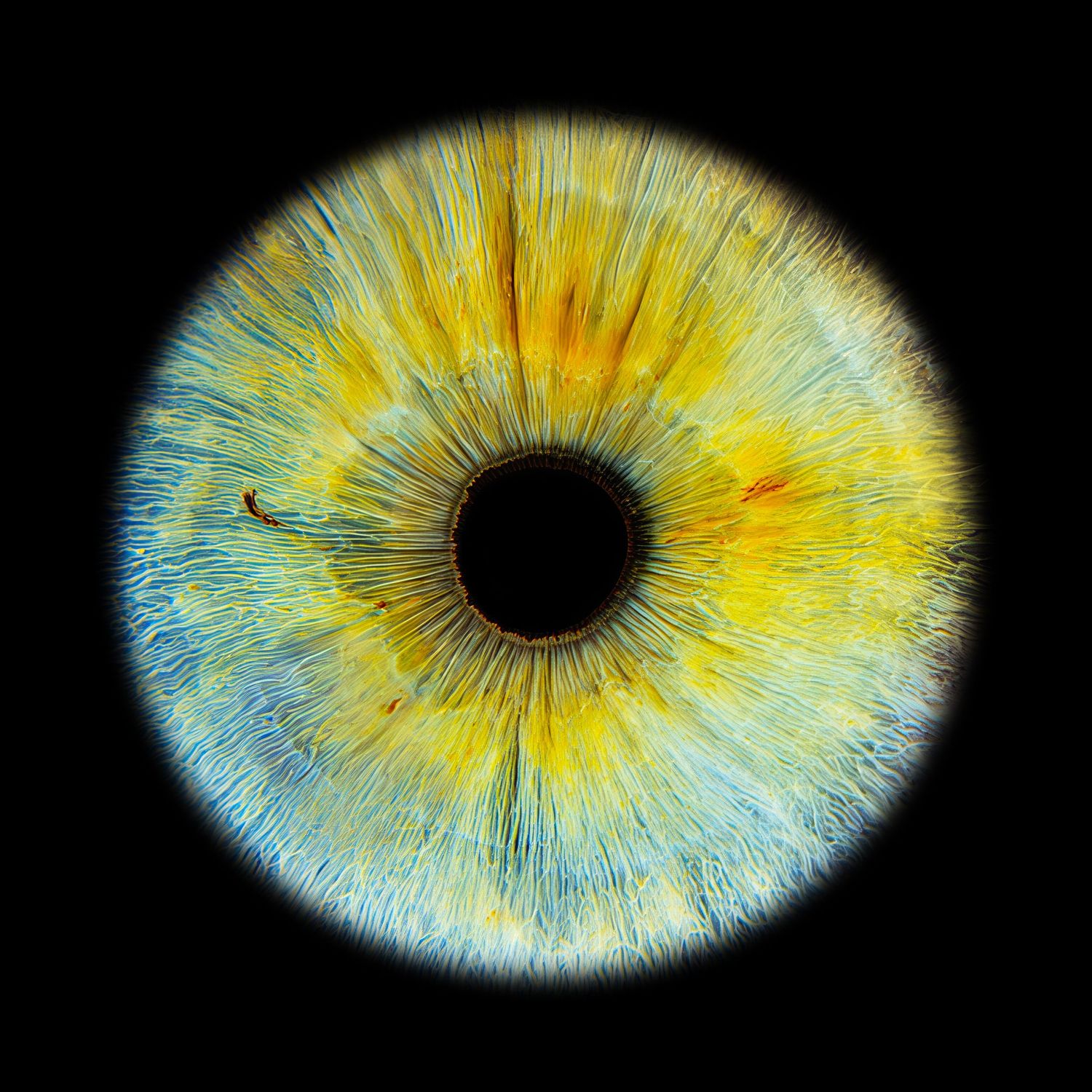 Close-up macro photograph of a human eye iris showing stunning blue, yellow, and green colors with detailed fiber textures.