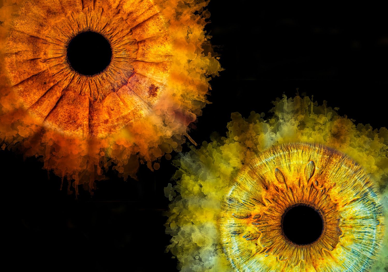 Two glowing iris macro photographs in orange and yellow hues against a black background resemble cosmic nebulae.