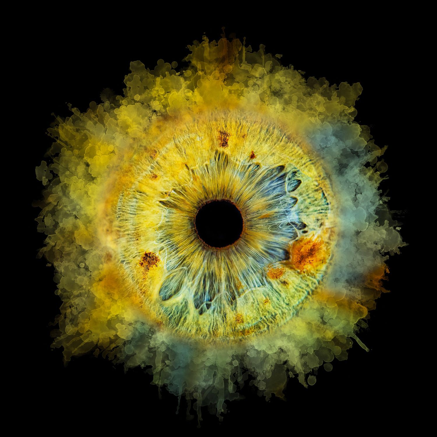 Artistic rendering of human iris with explosive yellow and blue paint effect on black.