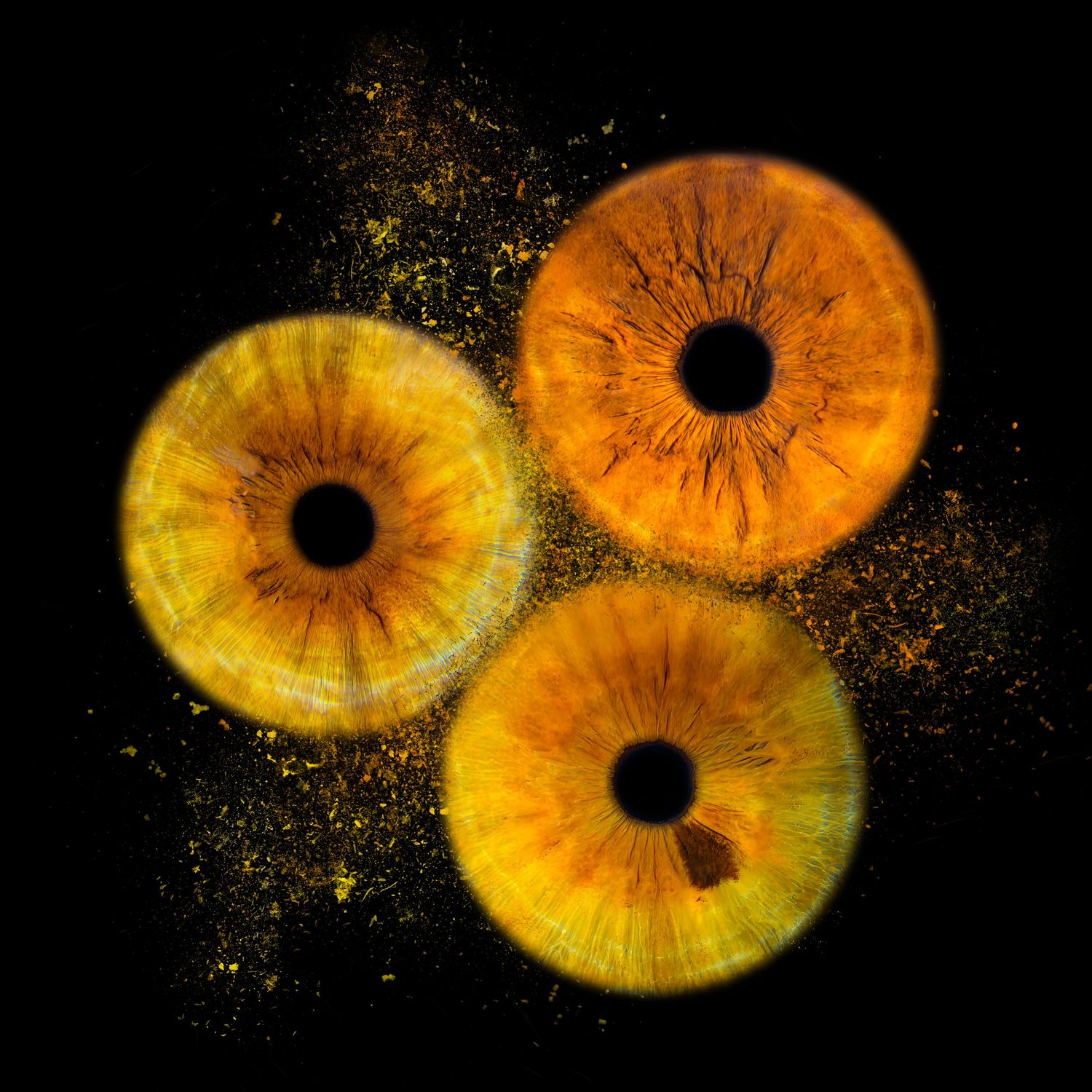 Three golden-orange human irises with dark pupils on black background, with yellow dust particles scattered around.