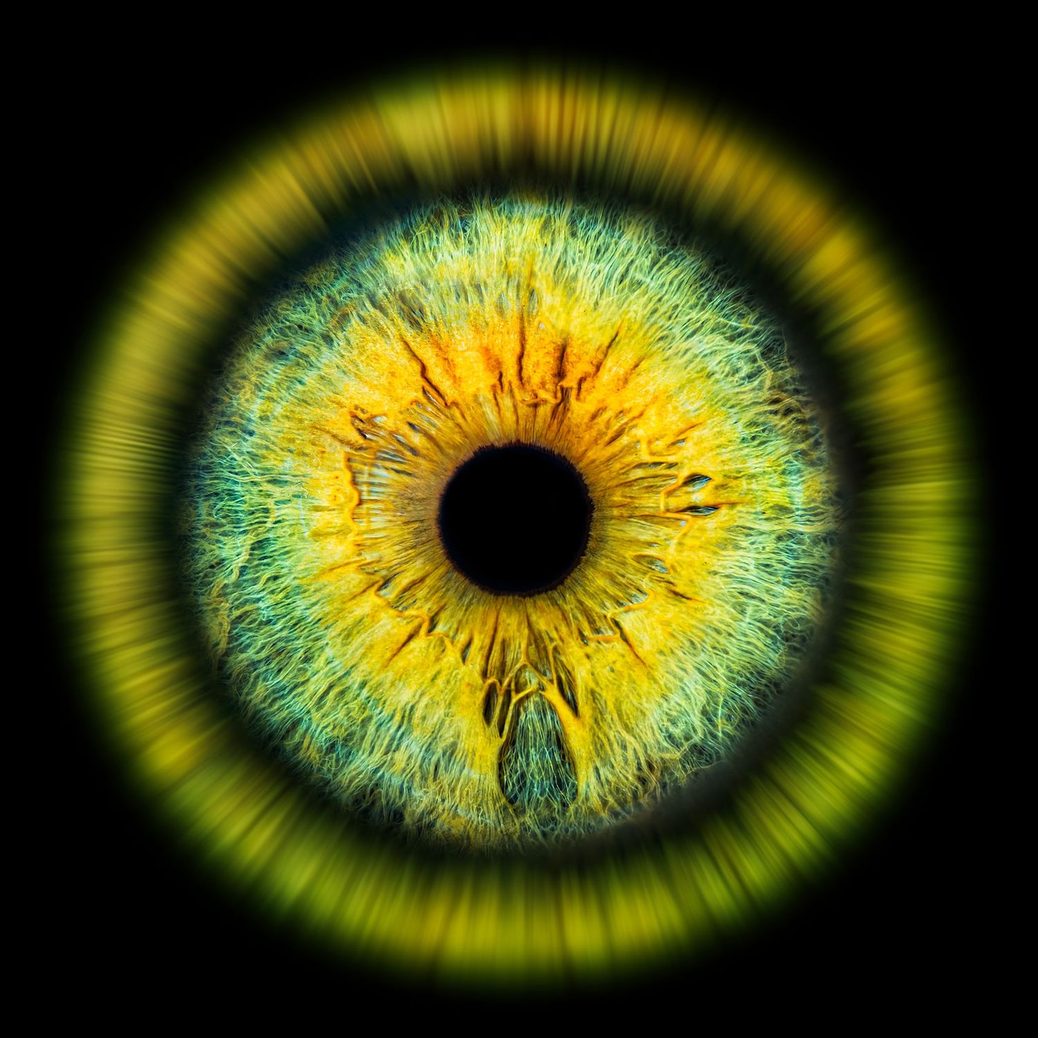 Close-up macro photo of a glowing green and yellow iris with dark center creating an abstract eye-like pattern.