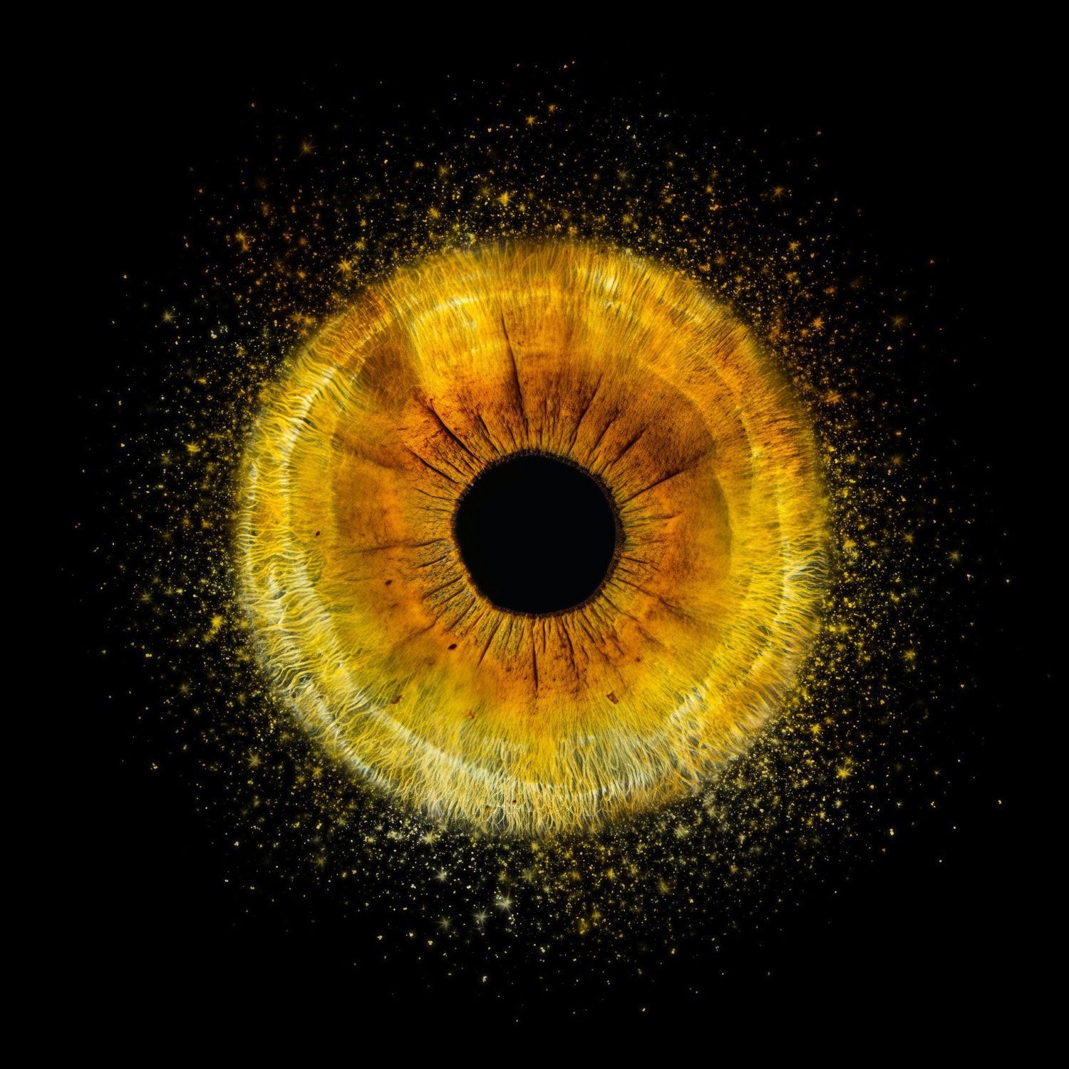 Close-up of a glowing golden eye with sparkling particles on a black background.