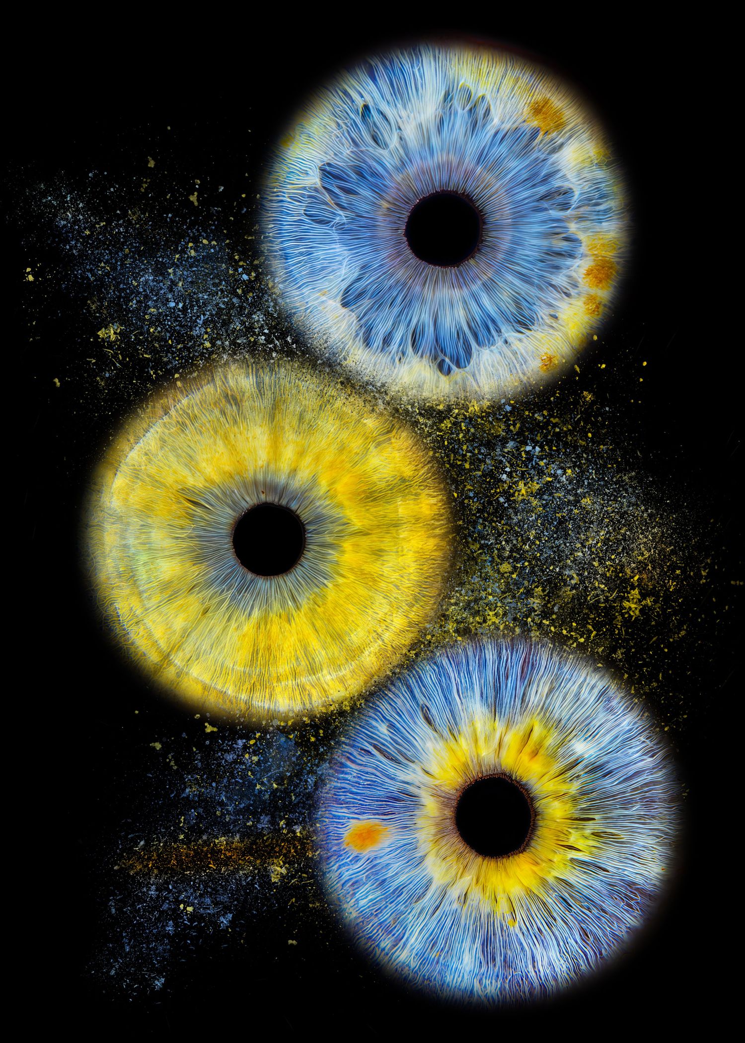 Three macro iris eyes in blue and yellow hues with glowing details on black background.