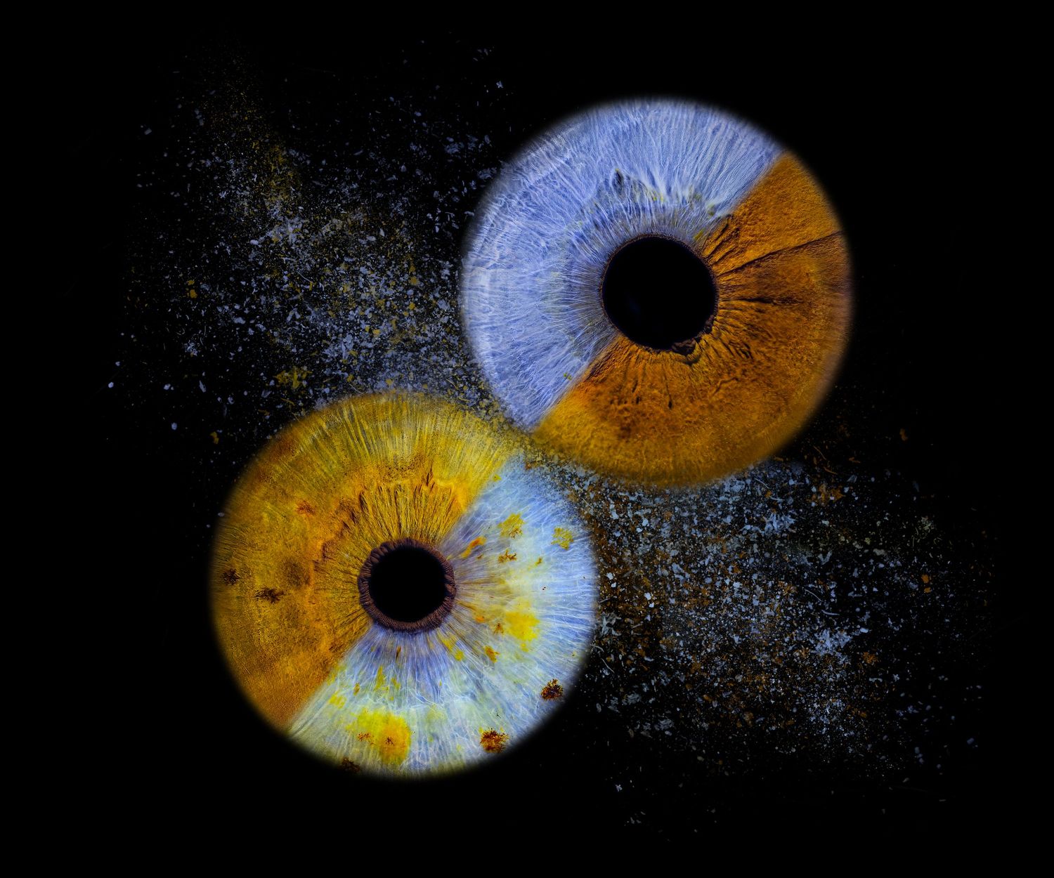 Two macro close-up human irises with golden and blue hues surrounded by sparkling particles on black background.