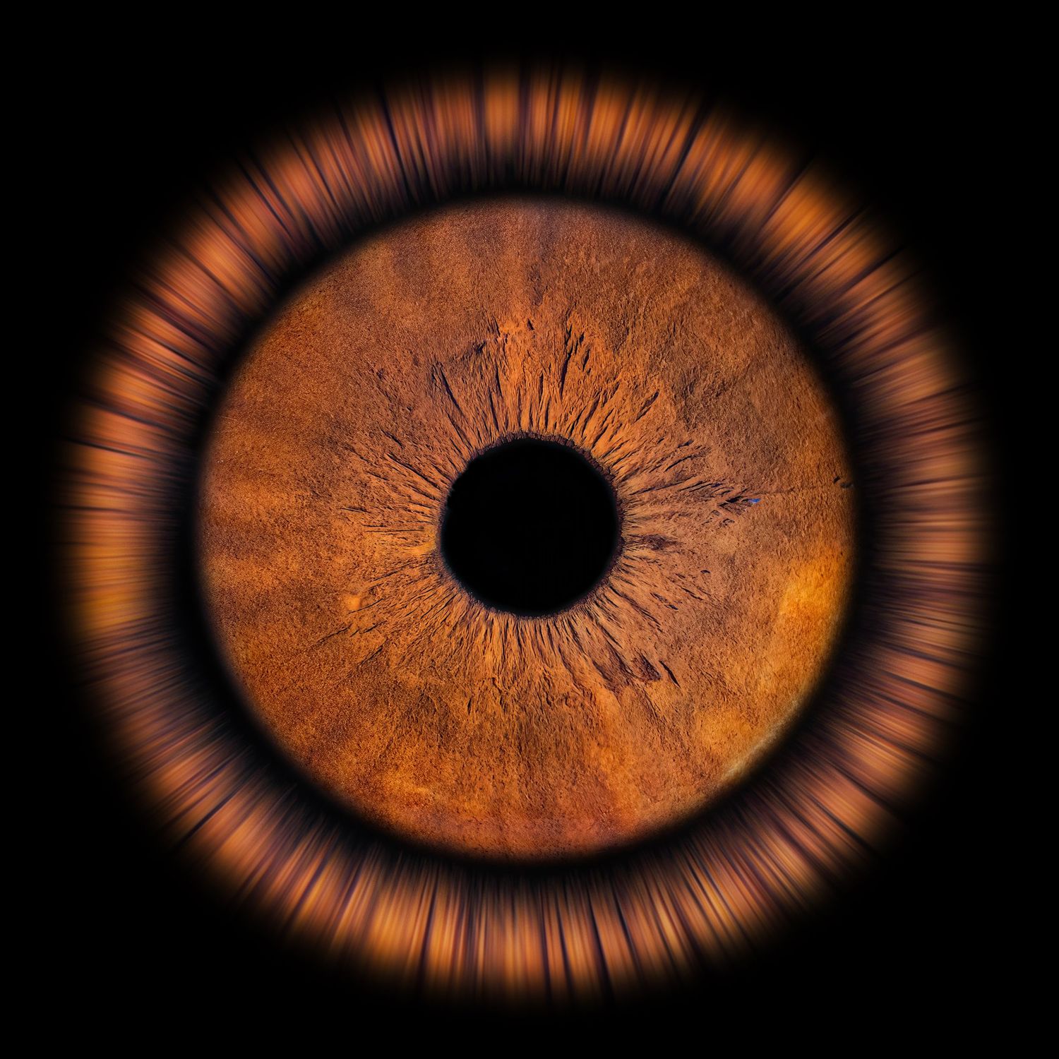 Dramatic macro photograph of an amber colored iris on black background with radial glow effect.
