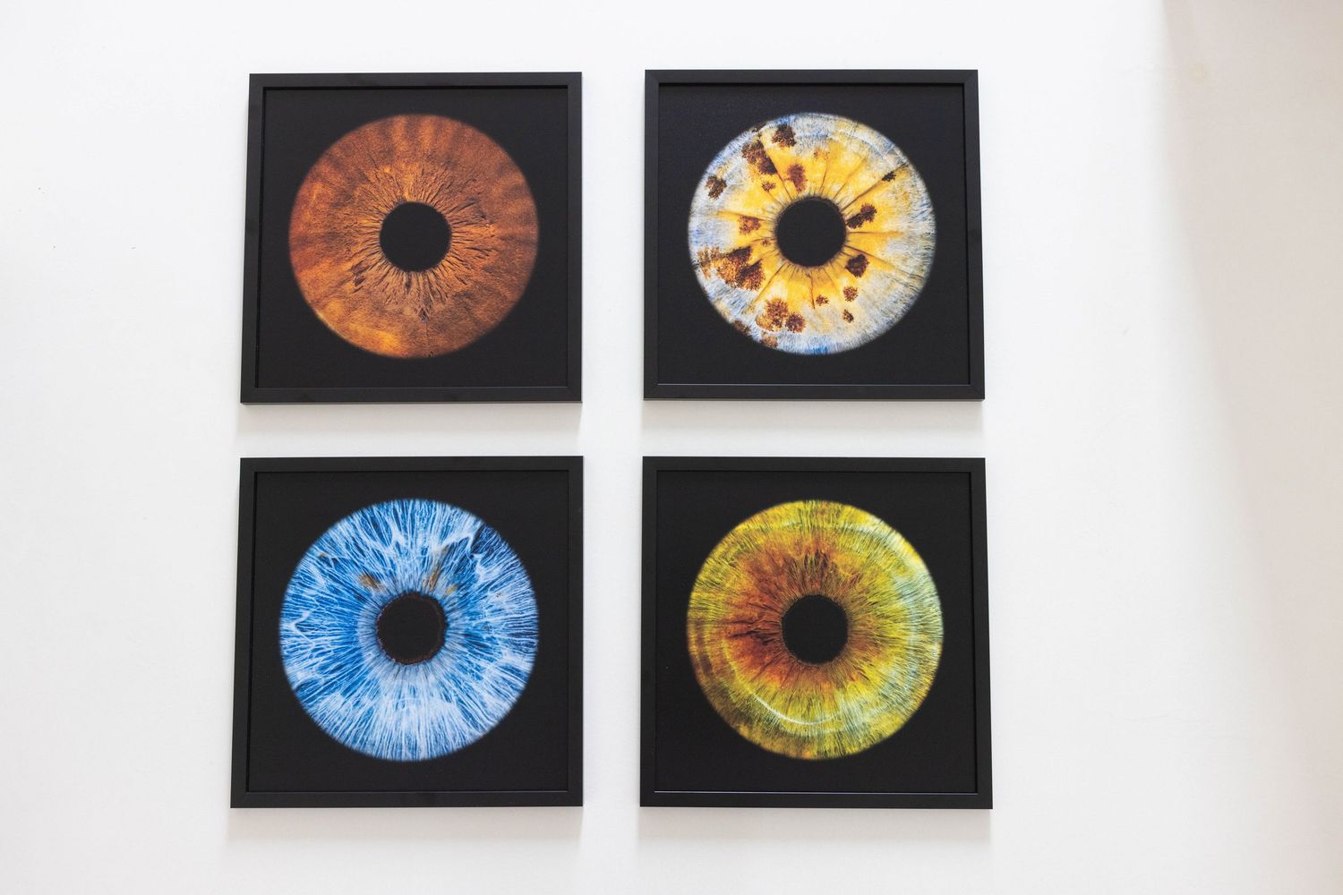 Four framed iris prints showing different colored eyes in orange, yellow, blue and amber.