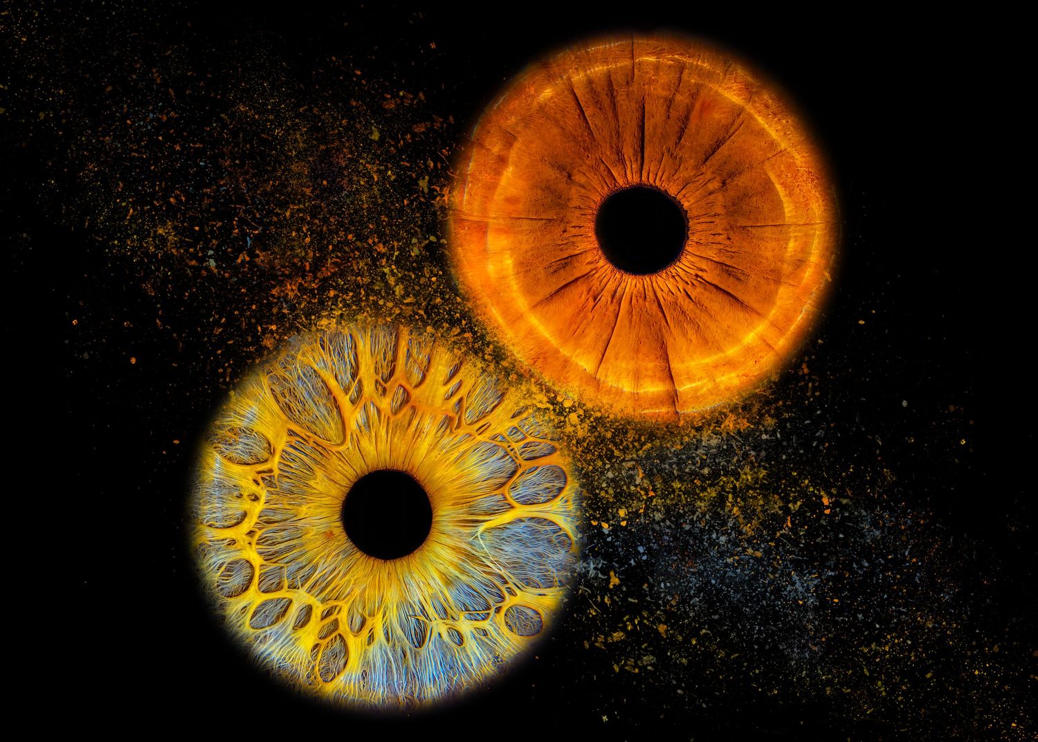 Two glowing cosmic eye irises in orange and yellow hues against a dark starry background.