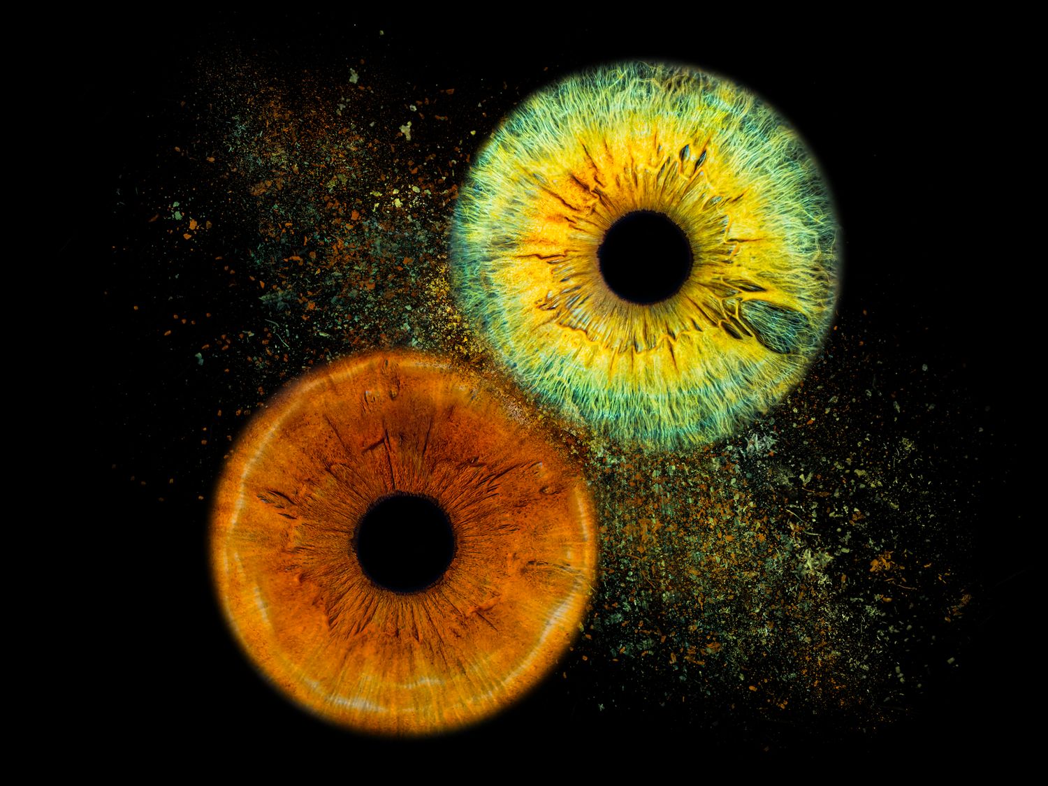 Two iris macro photos showing green and orange colors with sparkle effects on dark background.