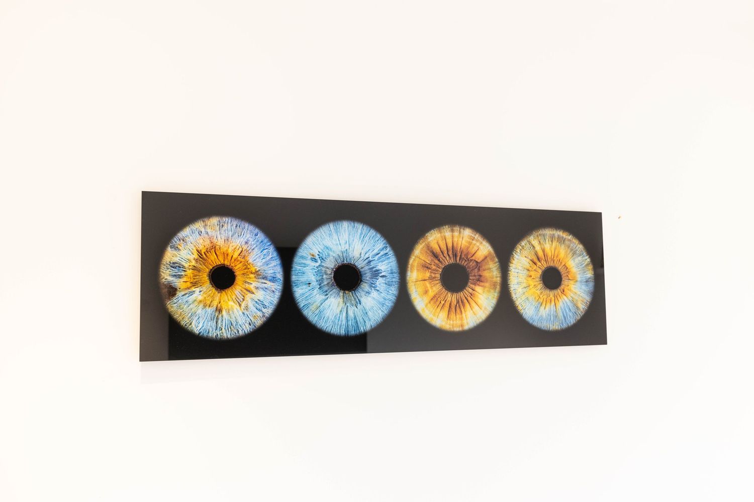 Four colorful artistically rendered iris eye designs mounted on a black panel against a white wall.