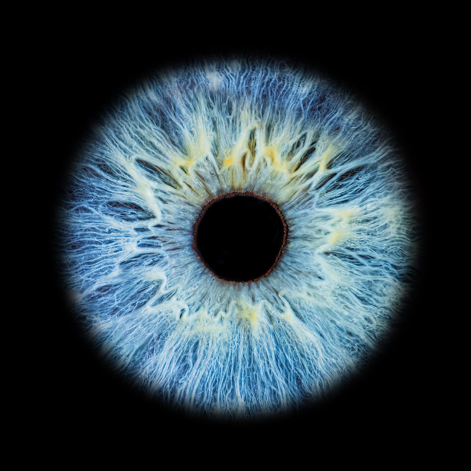 A detailed macro photograph of a bright blue human iris with intricate patterns surrounding a dark black pupil.