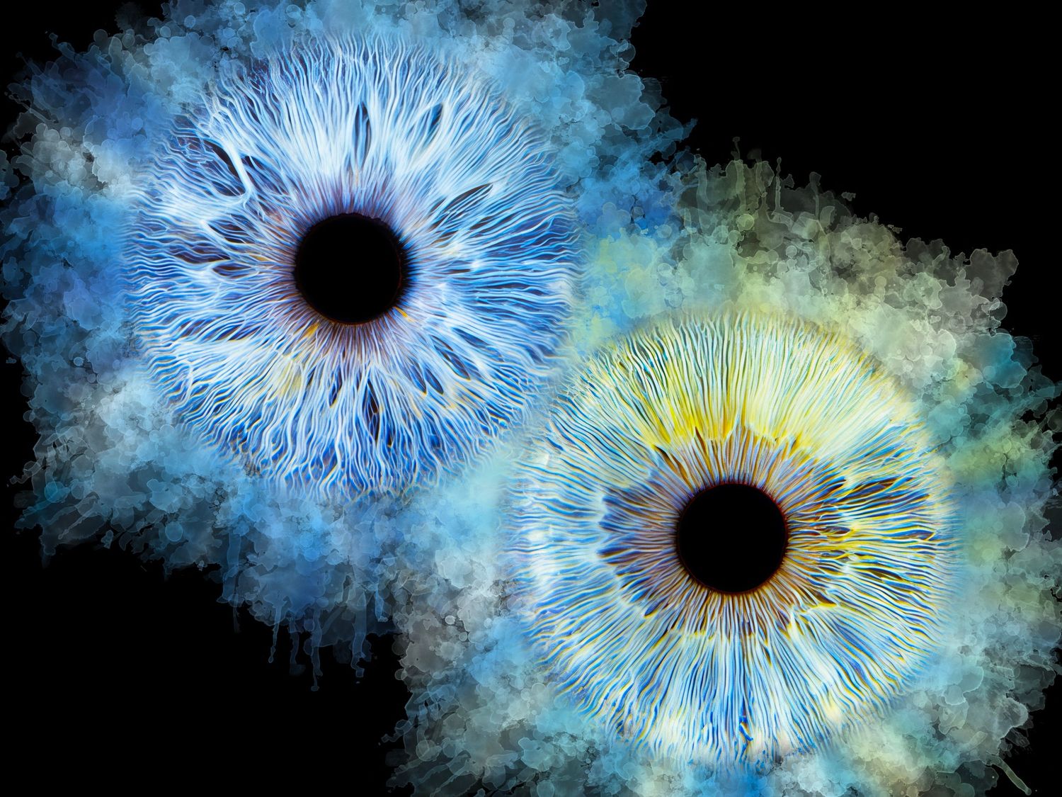 Two artistic iris eyes in blue and yellow hues on black background, macro digital art illustration.