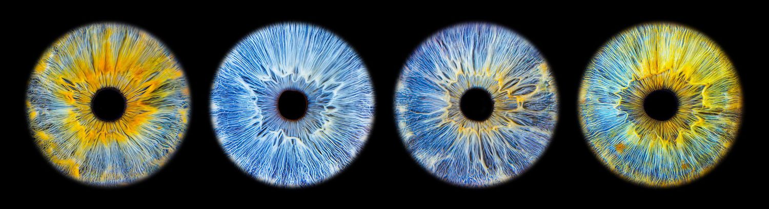 Close-up macro photography of four human irises displaying vibrant blue and yellow patterns on black background.