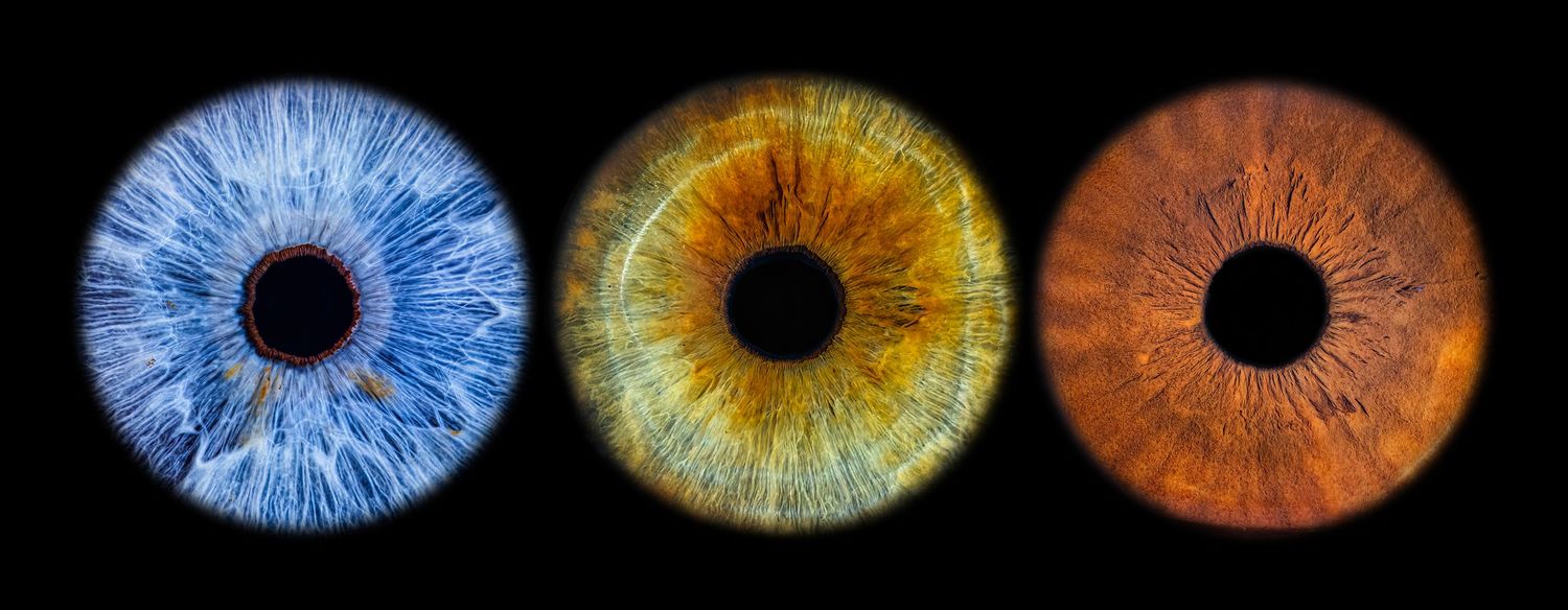 Close-up macro shots of three different colored human irises in blue, amber, and brown arranged horizontally.