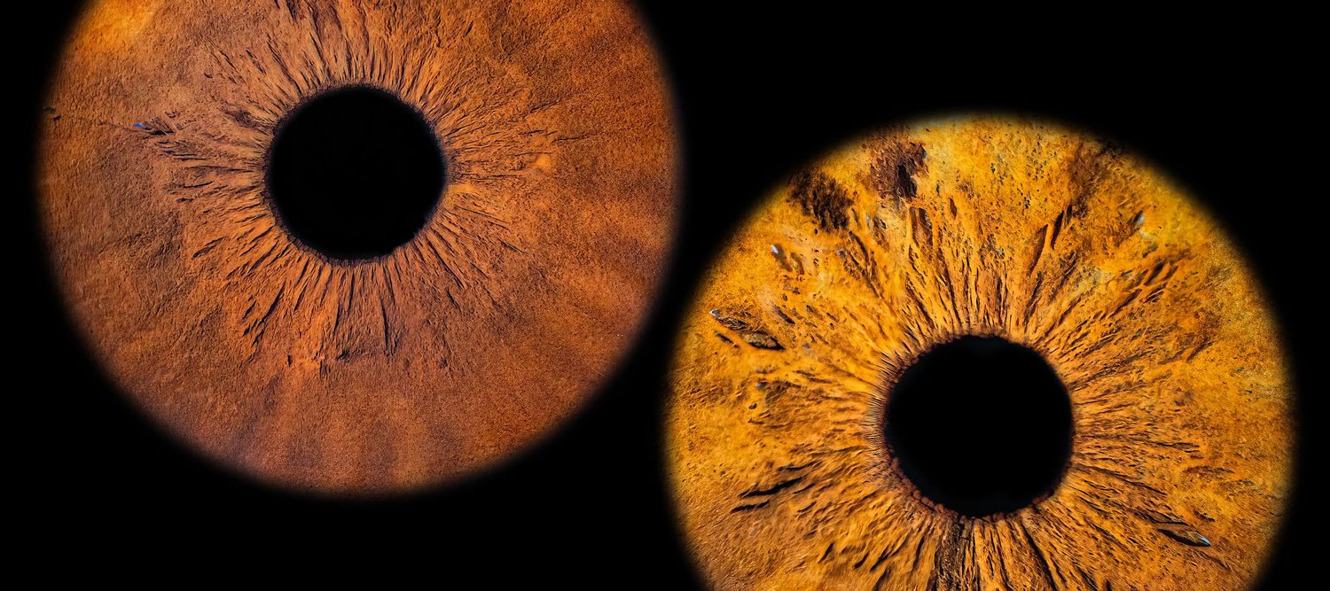 Side-by-side macro photographs of two brown irises against black background.