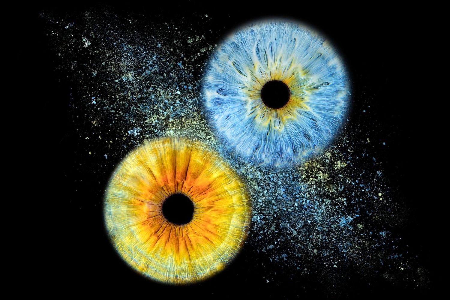 Two vibrant macro iris eyes in blue and yellow swirl together like yin and yang against a dark starry background.
