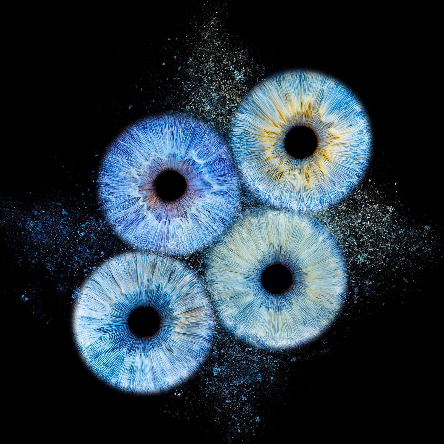 Four blue human irises arranged in a cluster against a dark background, showcasing intricate eye textures.