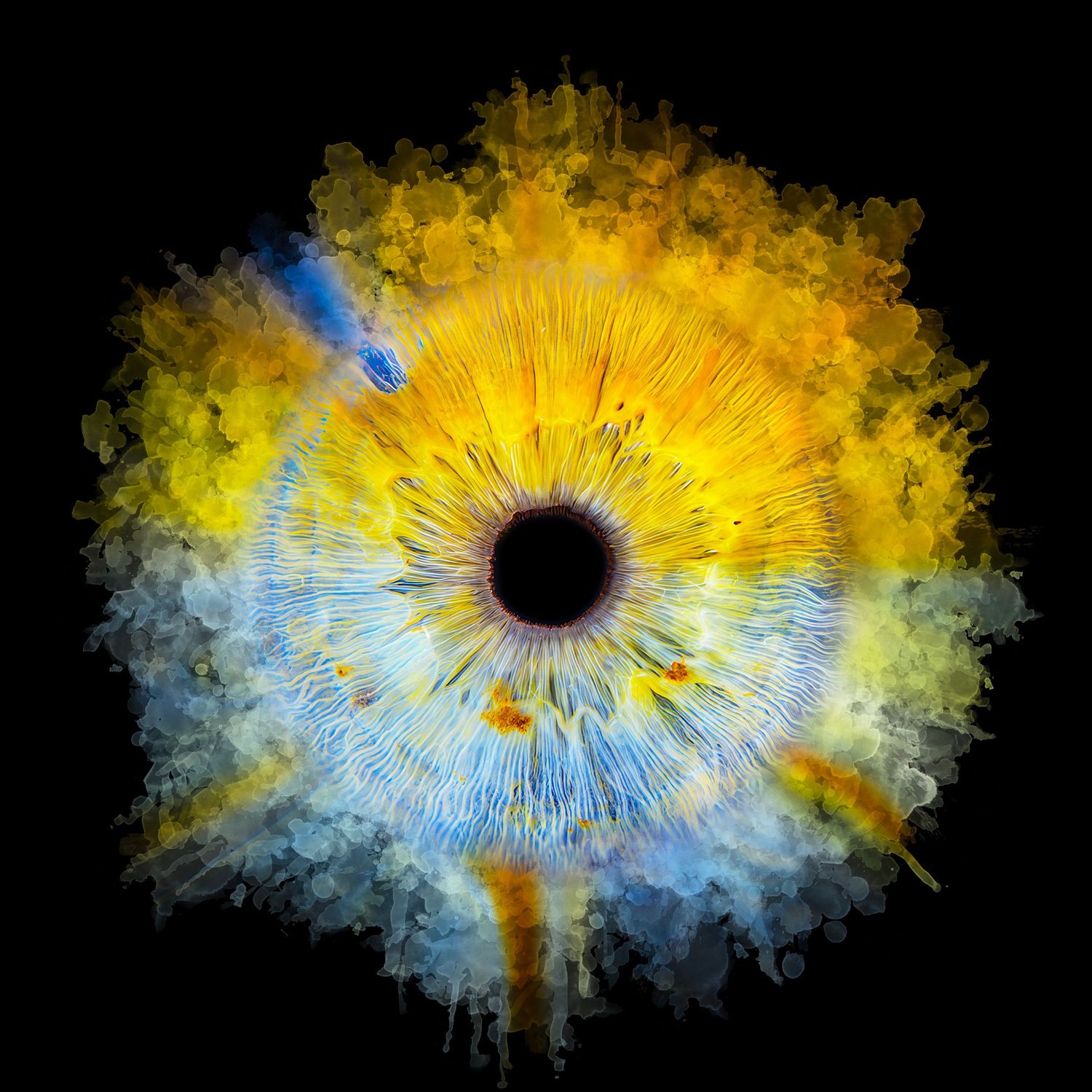 Abstract eye artwork with vibrant yellow and blue iris, exploding paint effect on black background.