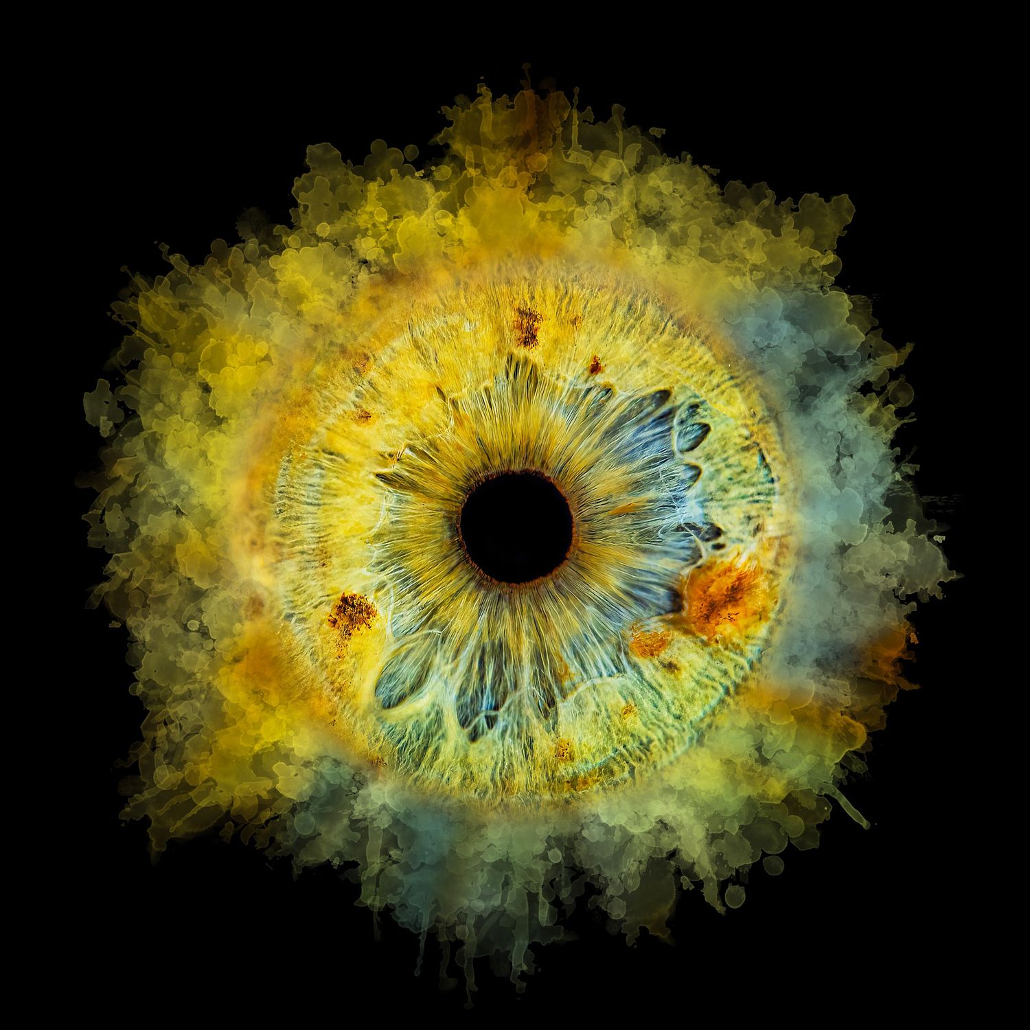 Abstract digital artwork of a vibrant yellow and blue iris with textured watercolor effects against a black background.