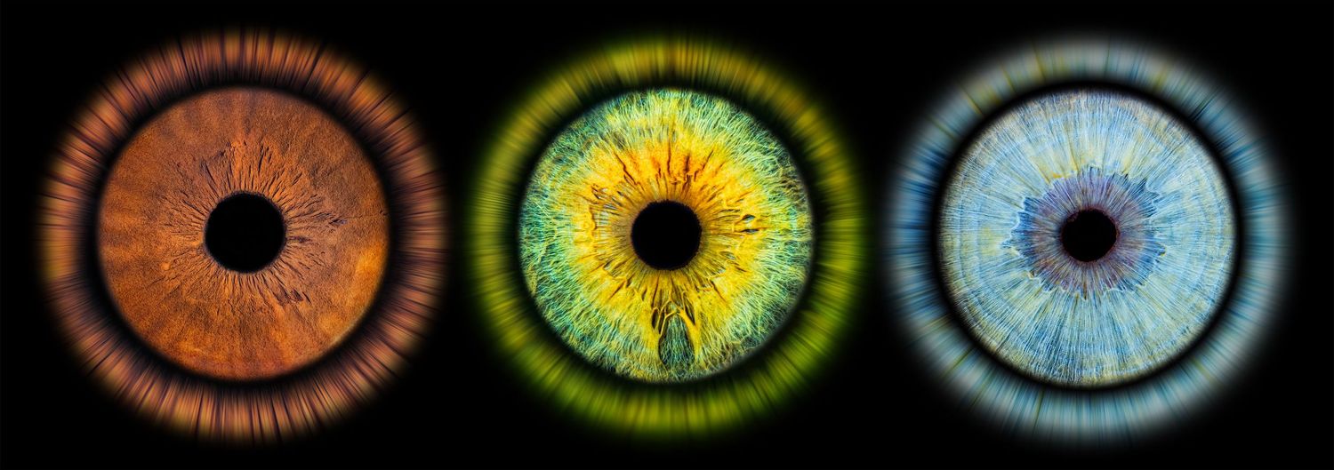 Three colorful iris designs showing brown, yellow-green, and blue eye patterns in a dark horizontal arrangement.