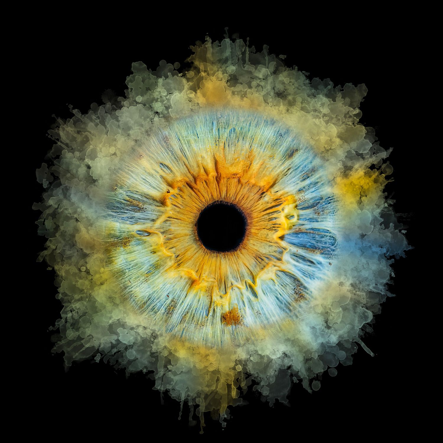 Abstract artistic rendering of a human eye iris in vibrant yellow and blue colors against a black background.
